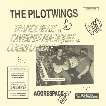 The Pilotwings Cavernes magiques