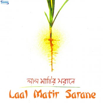 Silajit Laal Matir Sarane