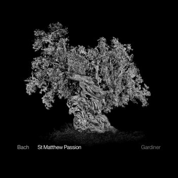 James Gilchrist feat. Alison Hill, Alex Ashworth, Angharad Rowlands, Monteverdi Choir, English Baroque Soloists & John Eliot Gardiner St. Matthew Passion, BWV 244, Pt. 2: No. 38, Petrus aber saß draußen im Palast