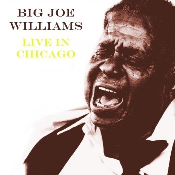 Big Joe Williams Goin' Away, Wont Be Back Till Fall (Live)