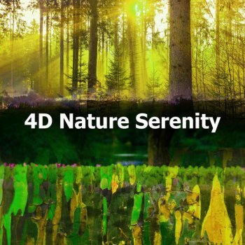 4D Nature Recordings Insect's Melody