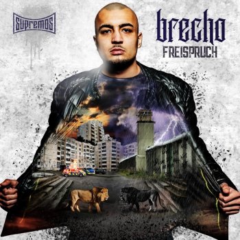 Brecho Showtime