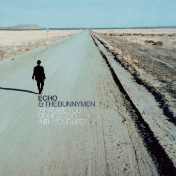 Echo & The Bunnymen Baby Rain