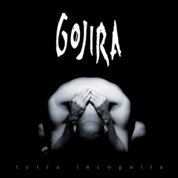 Gojira Lizard Skin