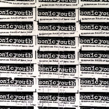 Sonic Youth Into the Groove(y)