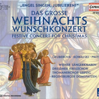 Janos Balint feat. Deborah Sipkai Violin Concerto in F Minor, RV 297, "Winter" from "The Four Seasons": II. Largo (Arr. for Flute and Harp)