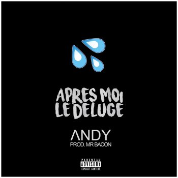 ANDY Apres moi le deluge