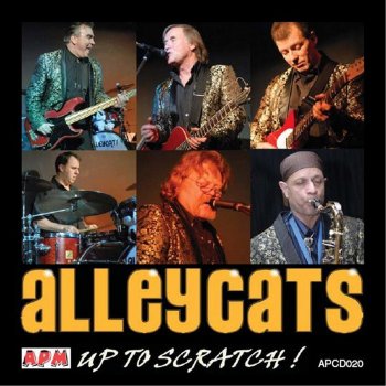 Alleycats Wild Cat