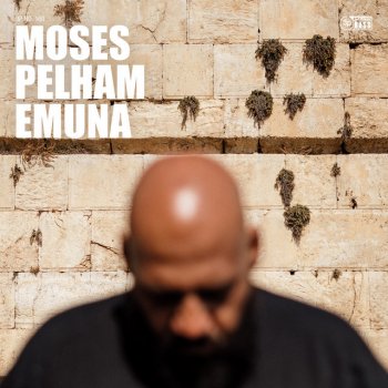 Moses Pelham feat. MAJAN Der Mond hört mir zu