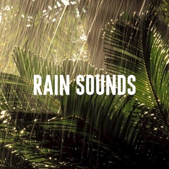 Rain Sounds Lab Relaxing Downpour