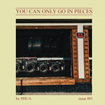 Shua You Can Only Go in Pieces