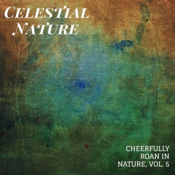 Celestial Mind Fire Sounds Considerably Morning Birds