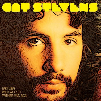 Cat Stevens Never Be Another You