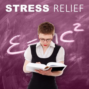 Stress Relief Calm Oasis Brain Power