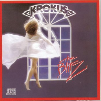 Krokus Midnite Maniac