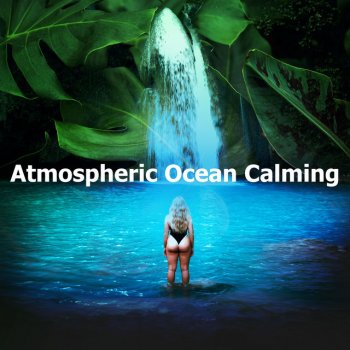 Ocean Sounds Plus Slap Docking