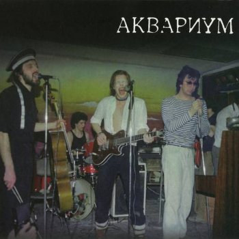 Аквариум Немного солнца в холодной воде