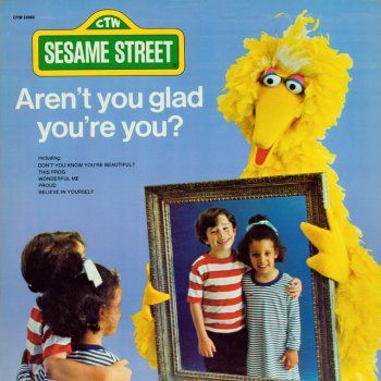 Oscar the Grouch Wonderful Me