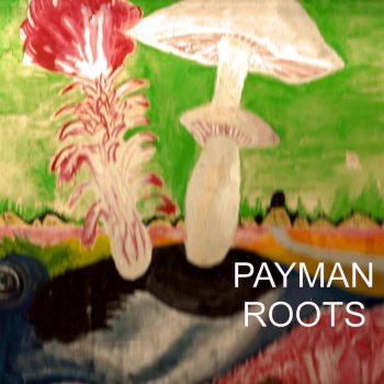 Payman My Dream Will Start Again
