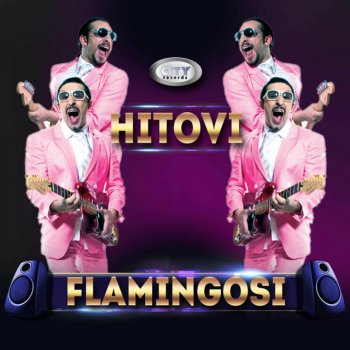 Flamingosi Litar vina