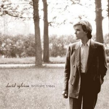 David Sylvian Red Guitar - 2003 - Remaster