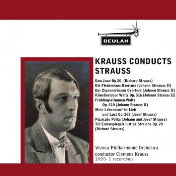 Wiener Philharmoniker Frühlingsstimmen Waltz