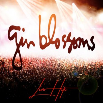 Gin Blossoms Follow You Down (Live)