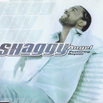 Rayvon feat. Shaggy It Wasn’t Me (Crash & Burn remix)