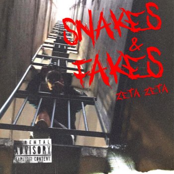 ZetaZeta Snakes and Fakes