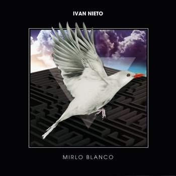 Ivan Nieto White mirlo