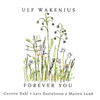 Ulf Wakenius Skylark