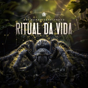 Boi Bumbá Caprichoso Ritual da Vida (2024) [Playback]