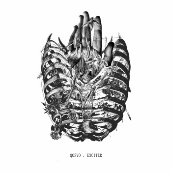 QOSVO Exciter