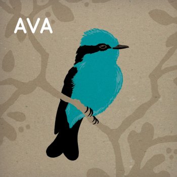 Ava Allting förändras
