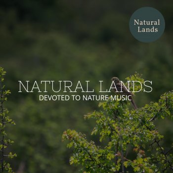 Nature Peace Calm Project Musical Bird Songs