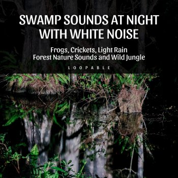 Peaceful Nature Music, Relaxing Muzic & Nature Lab (White Noise) Birds & Atmosphere - Loopable