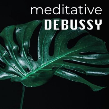 Claude Debussy feat. Maurizio Pollini Préludes / Book 1, L.117: 3. Le vent dans la plaine