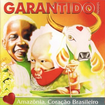 BOI BUMBÁ GARANTIDO Índio do Brasil