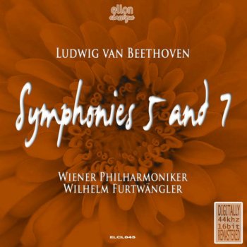 Wiener Philharmoniker feat. Wilhelm Furtwängler Symphony No. 7 in A Major, Op. 92: II. Allegretto
