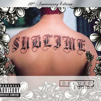 Sublime What I Got (Instrumental)