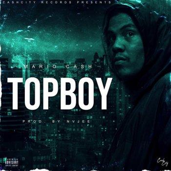 Mario Cash TopBoy