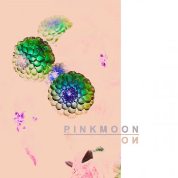 PINKMOON feat. RIPELY & Greenn 그린 How light is Ma Love