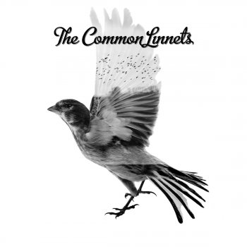 The Common Linnets Lovers & Liars