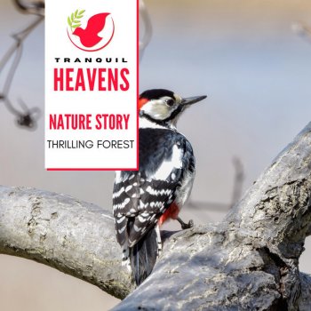 Nature Healing Mark Sound Club King Quail