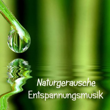 Entspannungsmusik Wasser Musiktherapie