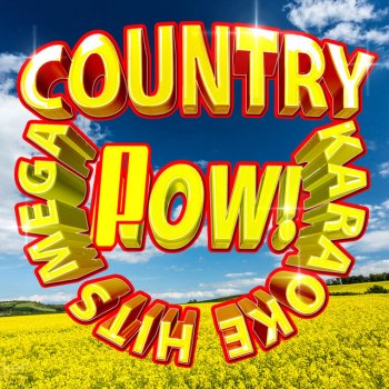 Modern Country Heroes Just a Kiss (Originally Performed by Lady Antebellum) [Karaoke Version]