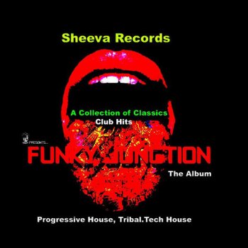 Исполнитель Funky Junction, альбом A Collection of Classics Club Hits