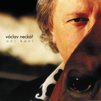 Václav Neckář feat. Jan Neckář Perla (feat. Jan Neckář)