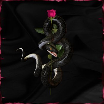 Tytokush feat. Gospeel, Nfx & Met Music Snake on My Way