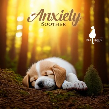 Pet Music Academy Pet Sleep Peacefully